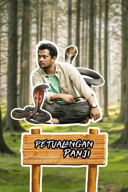 Petualangan Panji (2009)