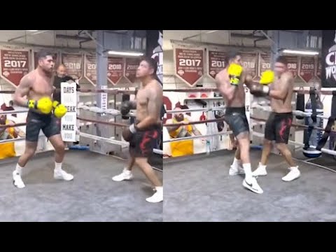 Alex Pereira Cracks Spar Partner Into Concussion