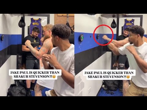 Jake Paul Beats Shakur, Reaction Test