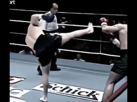 "Taekwondo Doesn't Work." Nvm... Ko. Meet Mirko Cro Cop.