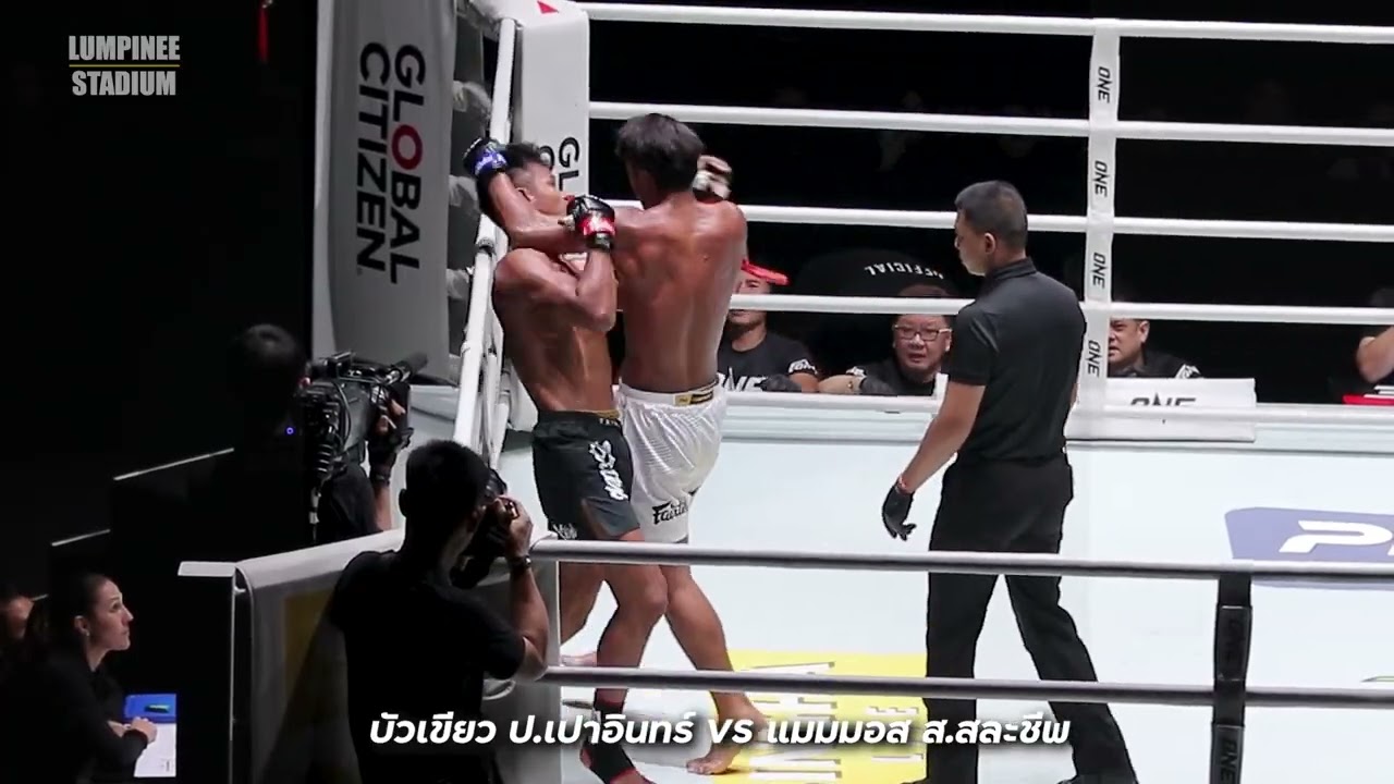 บัวเขียว ป เปาอินทร์ VS แมมมอส ส สละชีพ