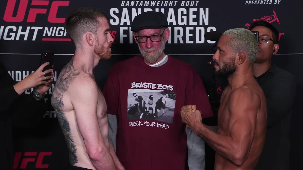 UFC Де-Мойн: Битвы взглядов