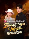 Bangkitnya Naga Tersembunyi