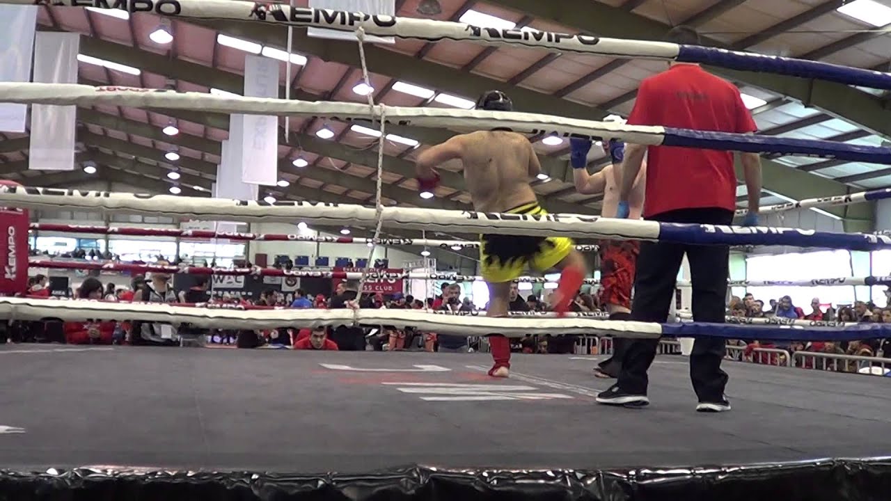 WAC 2016, Palkó Márk, Low Kick 1. meccs