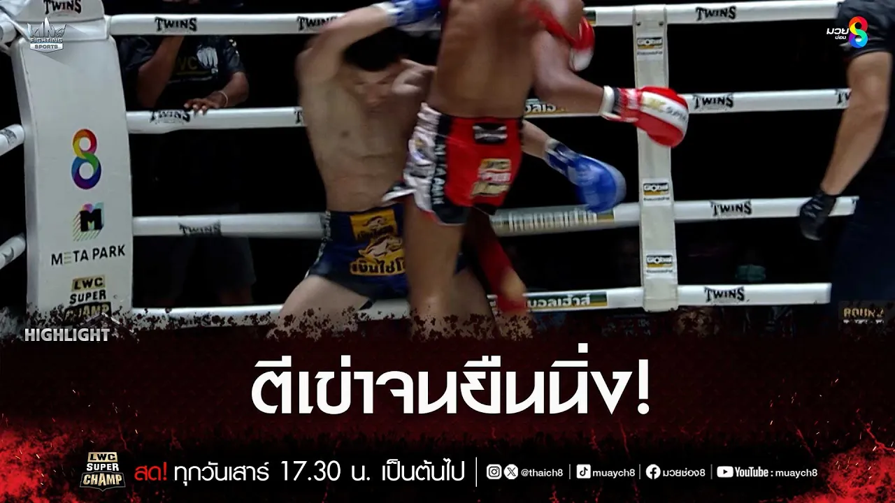 ตีเข่าจนยืนนิ่ง! | มวยช่อง 8