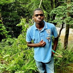 author avatar