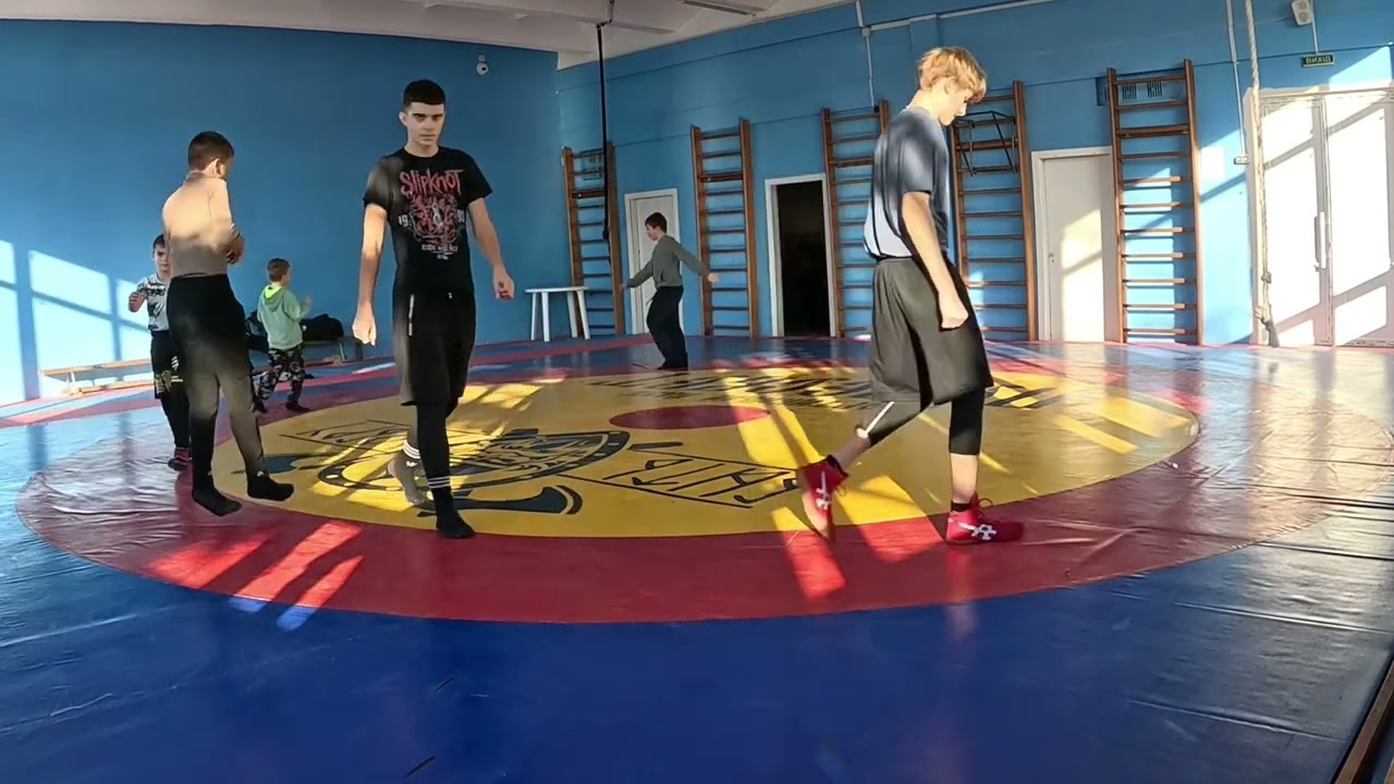 12 ноября 2025 г.