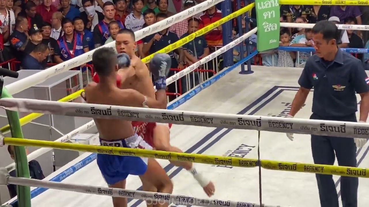 เช็คฟอร์มล่าสุด สองพยัคฆ์ก่อนบู๊ศึกวันลุมพินีคืนนี้! | สองพยัคฆ์ เจ พี เพาเวอร์