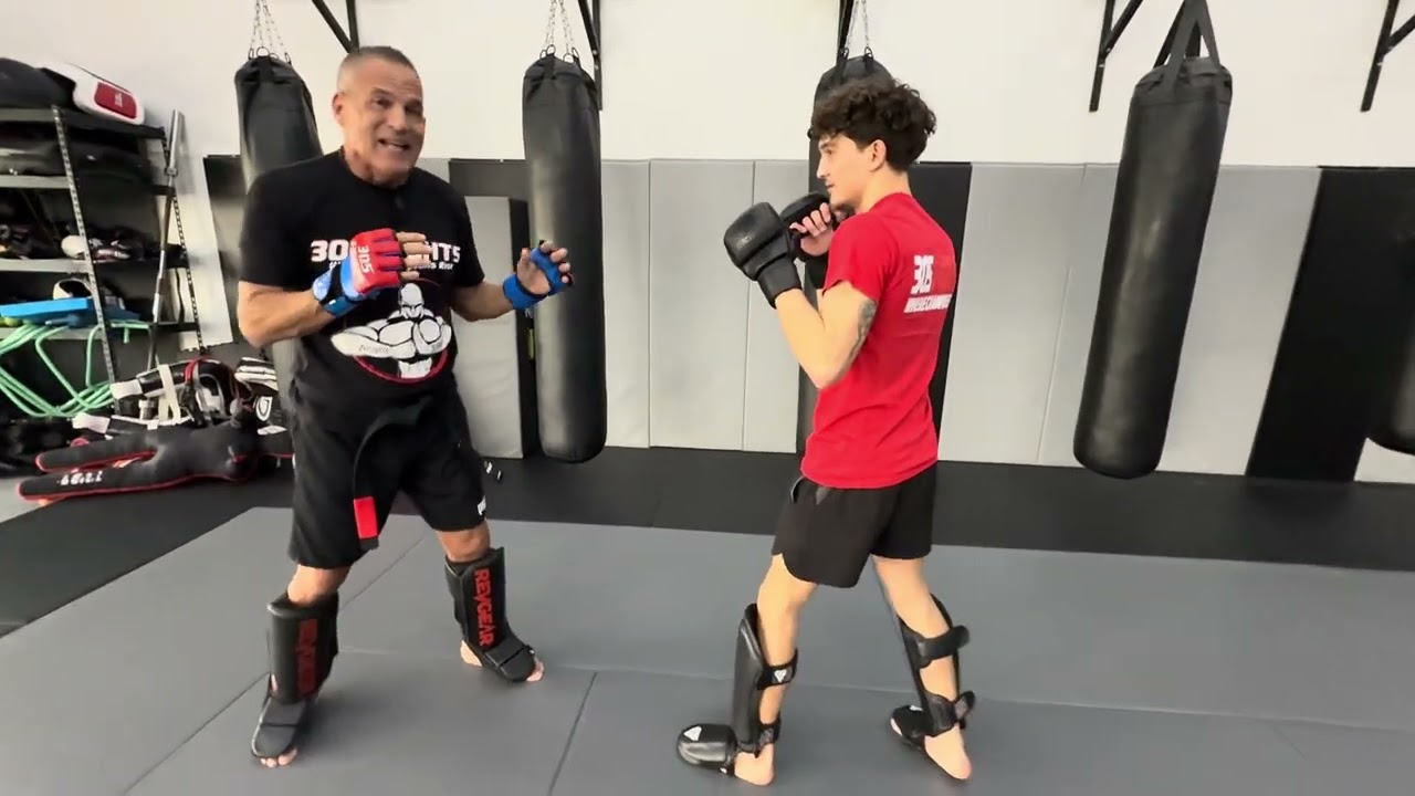 305fights.tv Free: Tutorial; combat sectors.