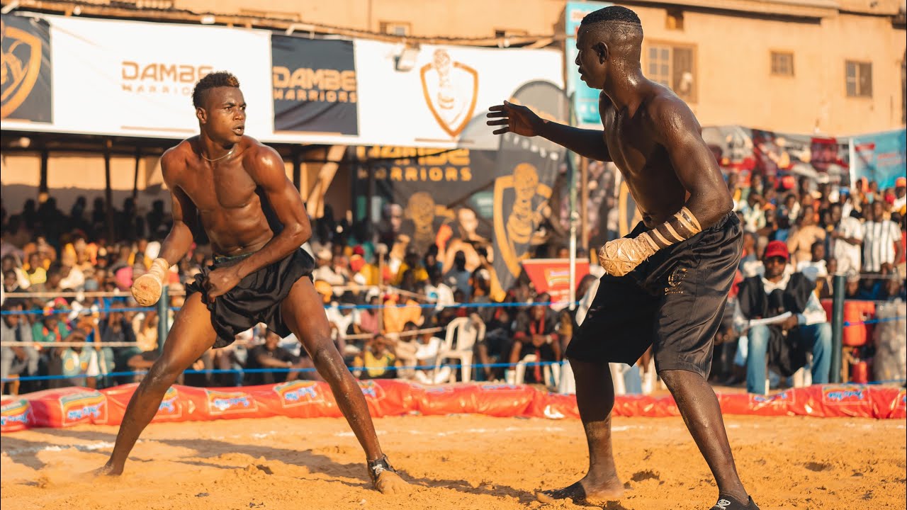 The Beginnings of a Dambe Contender: ZAZU