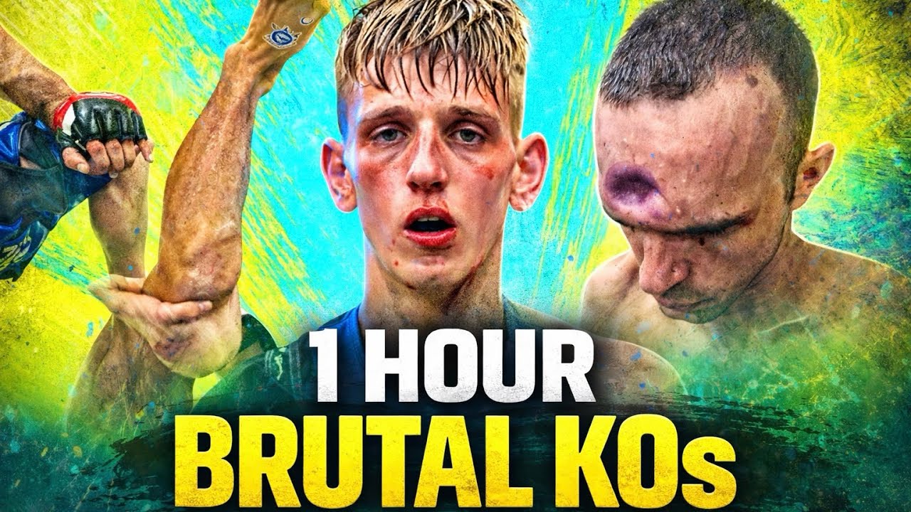 The Most Brutal & Funny Fight Moments (1 Hour)