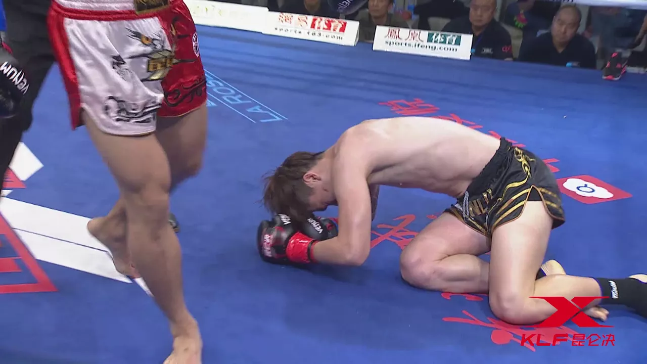 Multiple brutal flyingkicks plus intense punches, fast as hell! ! !