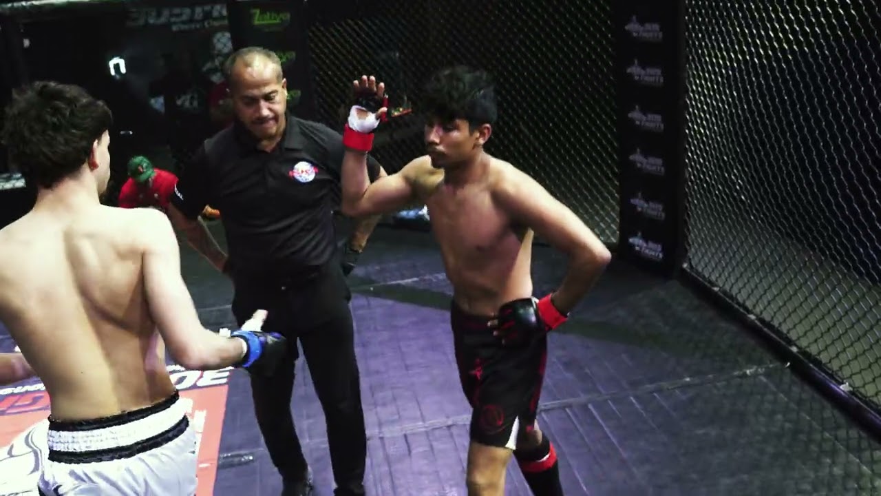 Williams Nicolas vs Sandro Pena