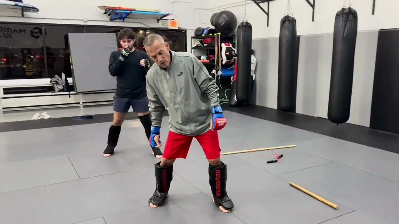 Martial Science / Science of Combat 