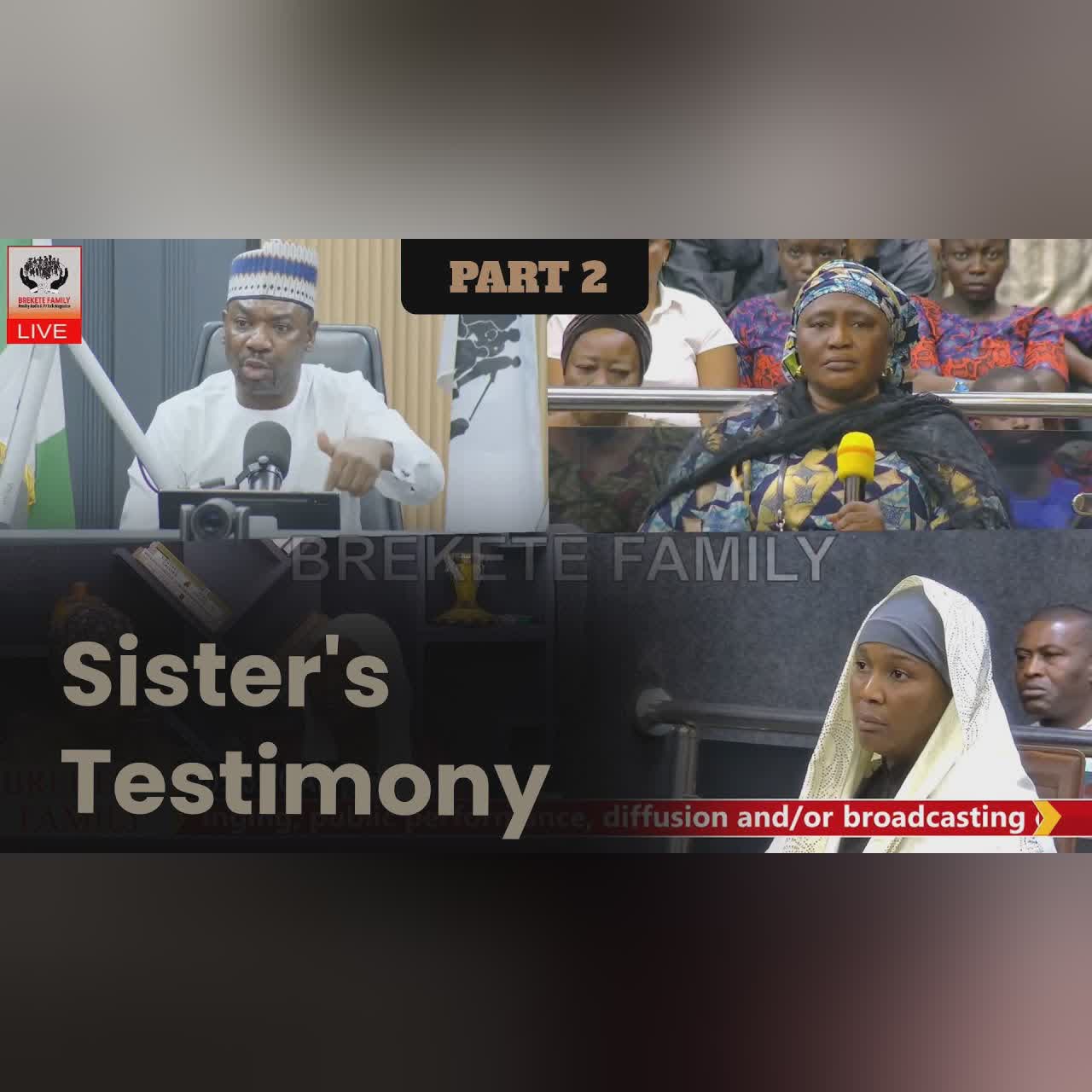 Part 2 - Allegations of Domestic Abuse and Withheld Money: Sister’s Testimony