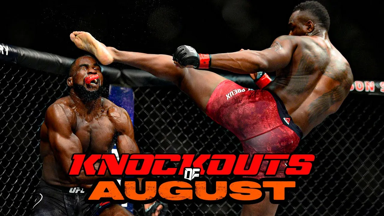 BEST MMA Knockouts of August 2025