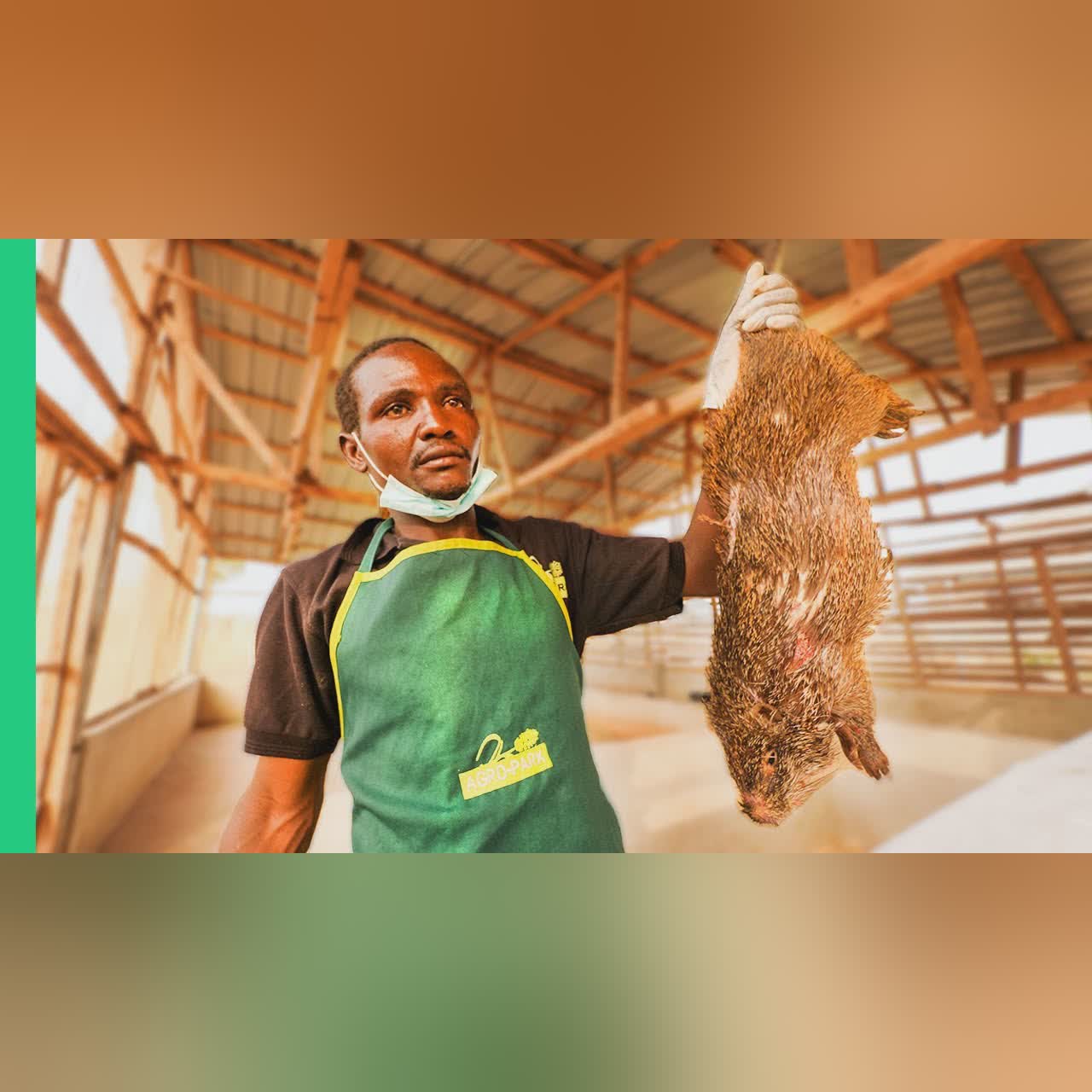 Nigeria’s Bushmeat Farms!! Eating Giant Rat with Miss Nigeria!!