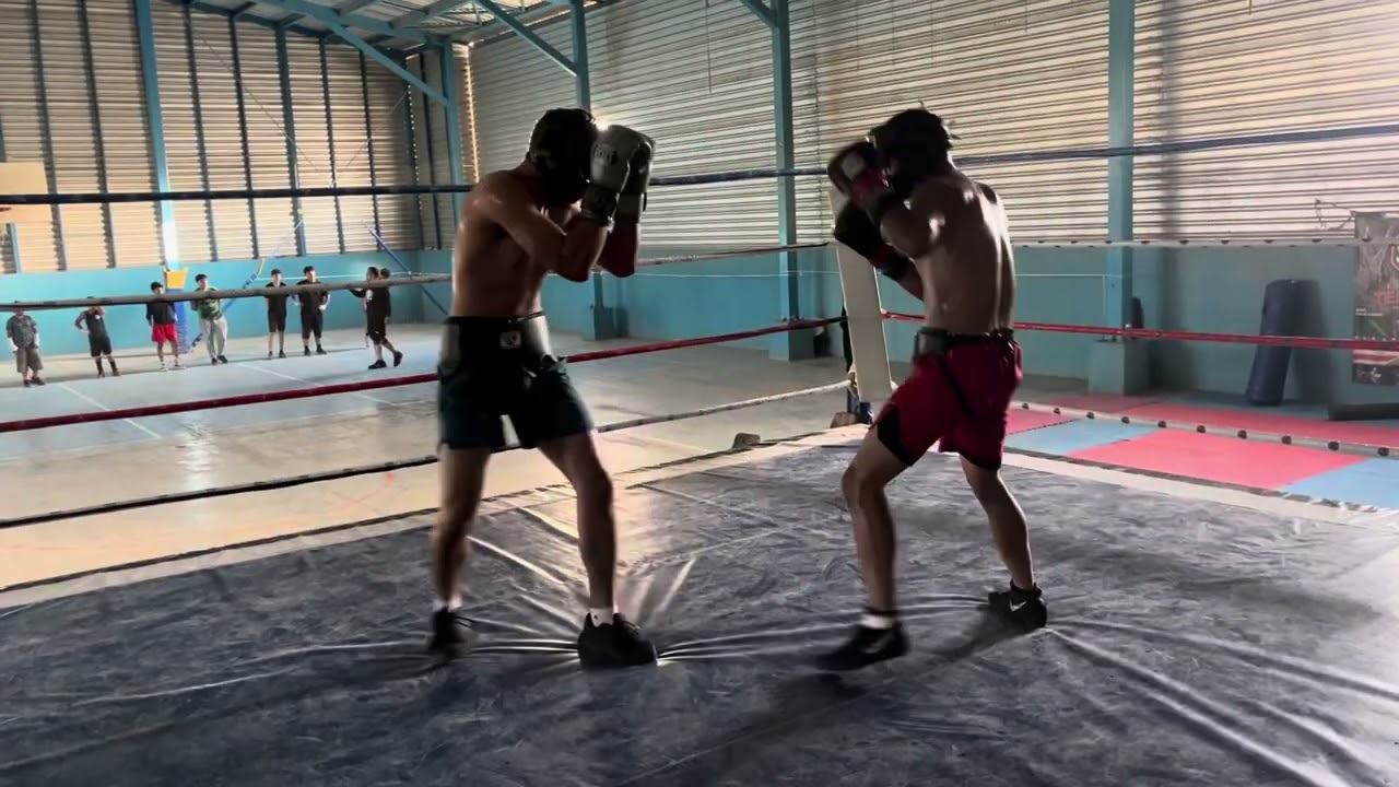 Amateur boxer vs pro boxer knockdown! Must watch 