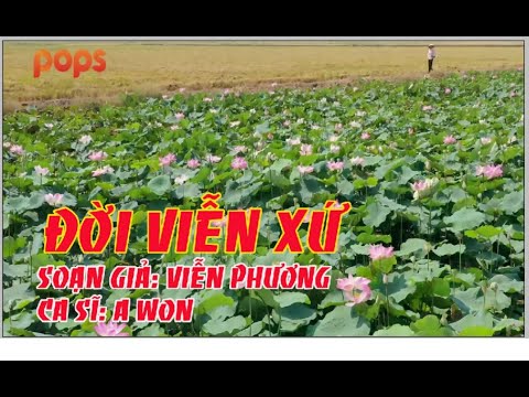 Đời Viễn Xứ - Nhạc Trữ Tình Nghe Mà Xao Động Con Tim