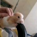 ~fuck u