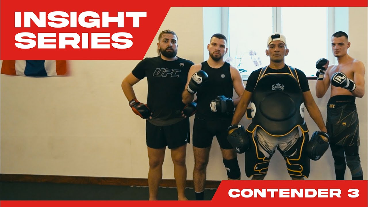 SHOUTOUT INSIGHT SERIES | Contender #3 | Daniel's Fight Zone - Vienna