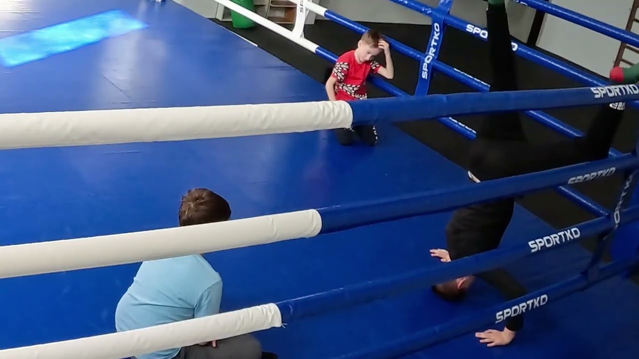 Пресс , отжимание , шея , кисти ; 14 марта 2026 г.