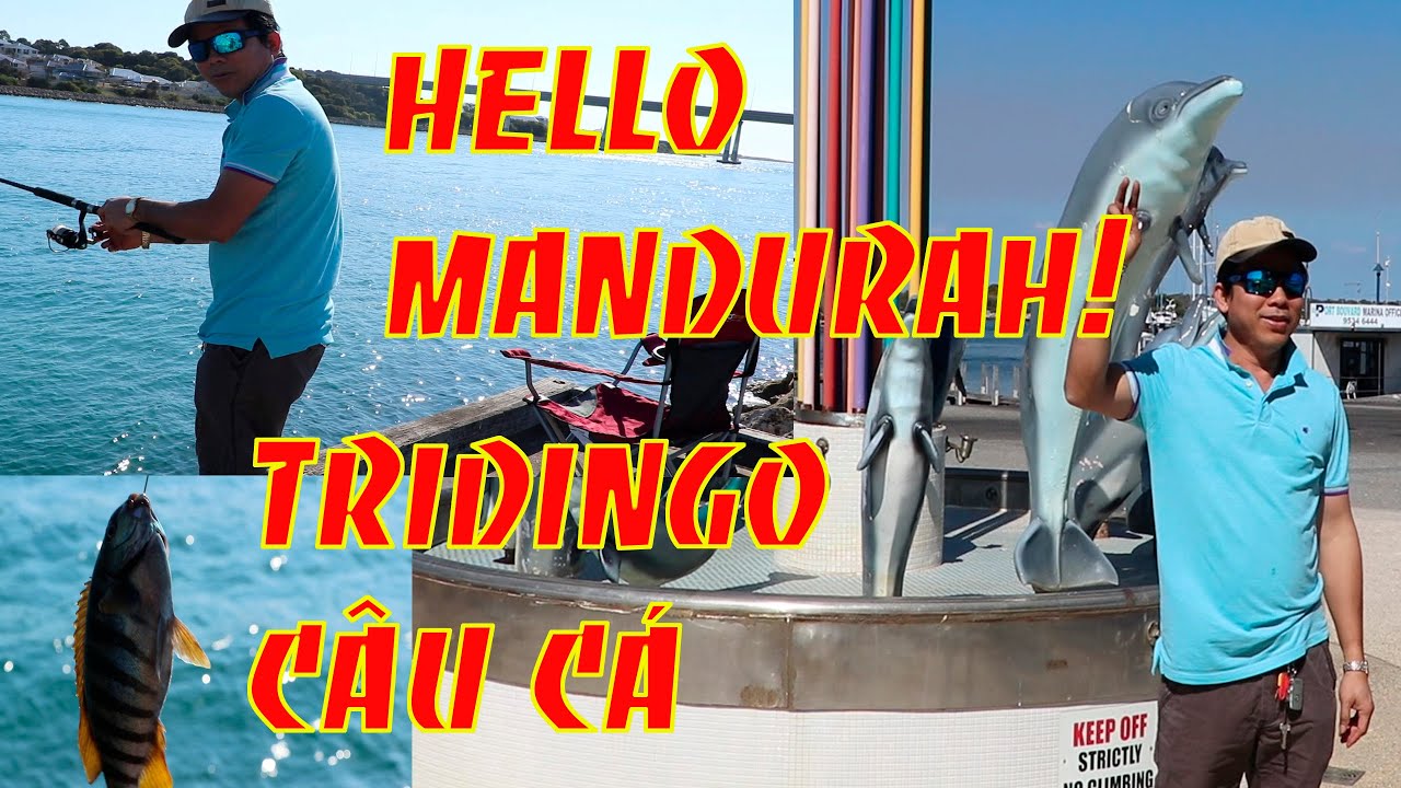 Khả Năng Sát Thủ Cần Câu, Chủ Nhật Ngày Lẽ Đi Câu Cá ỡ Thành Phố Biển Mandurah, Úc