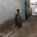 shah Jan