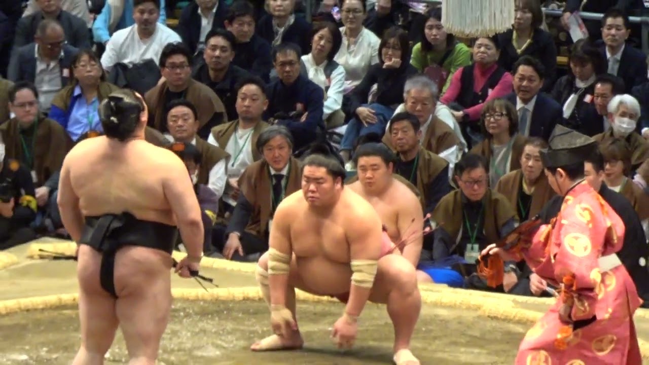 大栄翔vs正代【大相撲令和8年3月場所】15日目 大阪場所【SUMO OSAKA DAY15】2026/03/22
