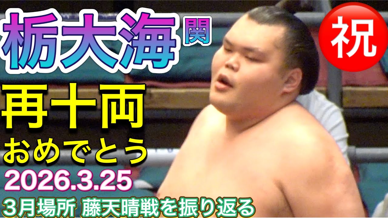 ㊗️栃大海関 再十両 2025.3.25✨ 3月場所13日目藤天晴戦を振り返る TOCHITAIKAI juryo again!