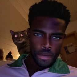 author avatar