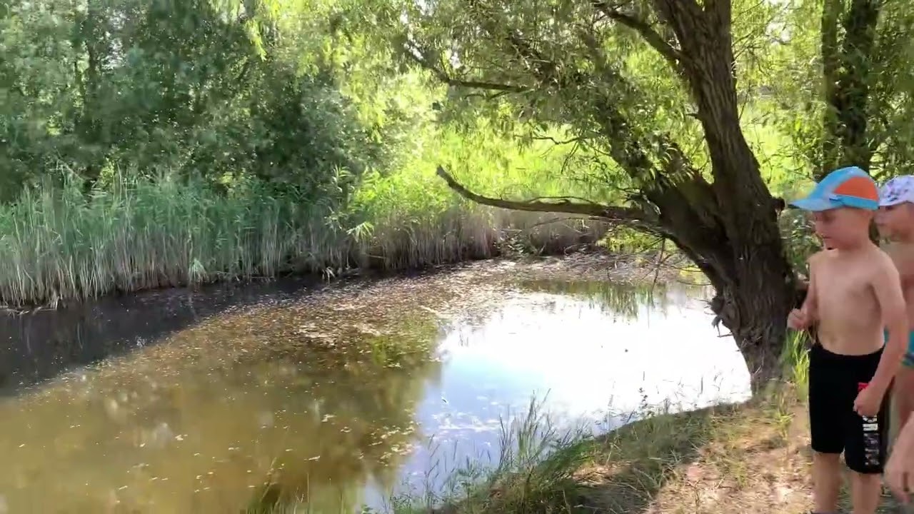 Утренняя пробежка с малышами , 20 июля 2022 г.