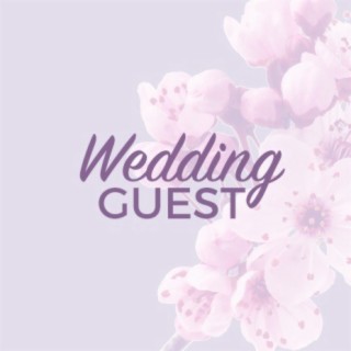 Wedding Guest