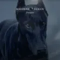 Frozen ft. Sickick