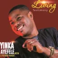 Iyin Ati Ope (Reggae)