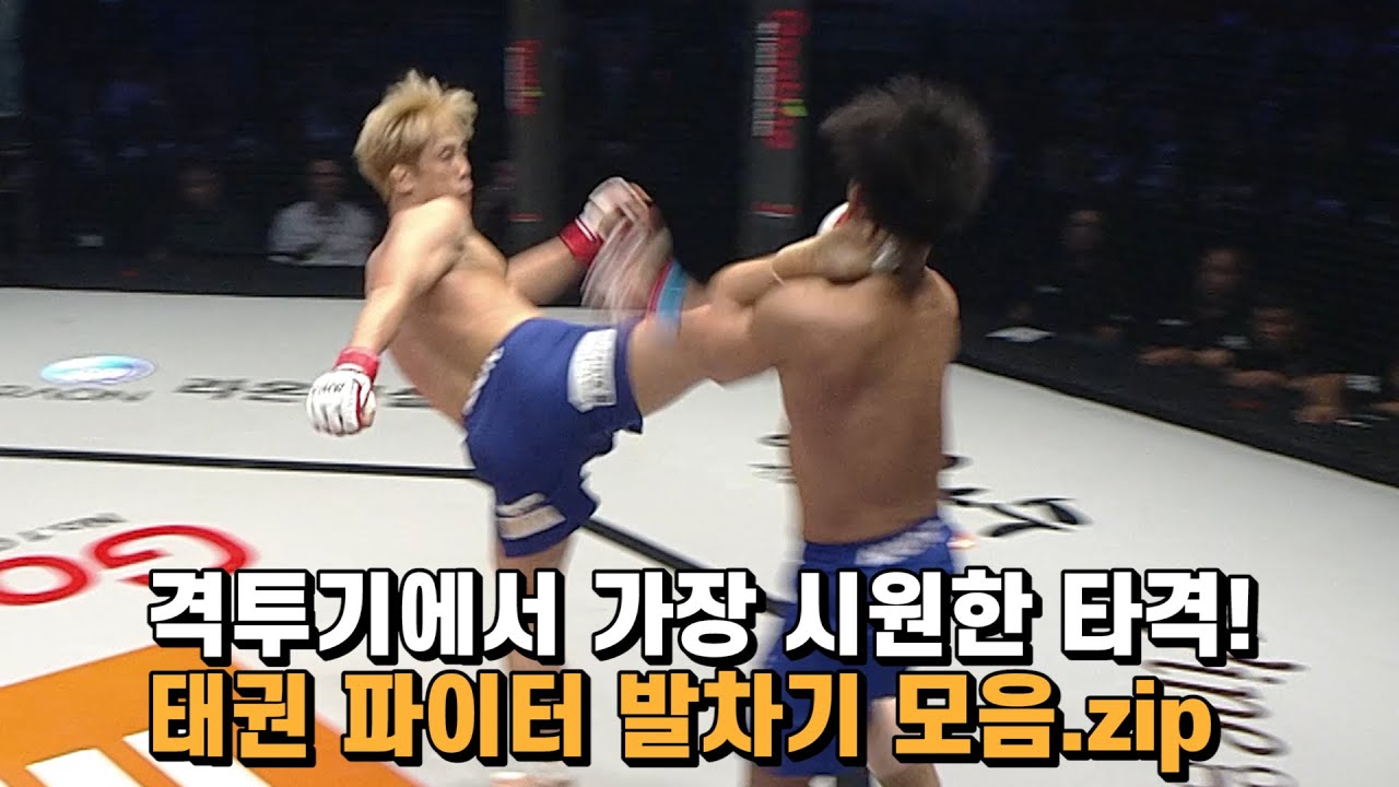 격투기에서 가장 시원한 타격! 태권 파이터 발차기 모음.zip