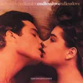 Endless Love (From "The Endless Love" Soundtrack) ft. Diana Ross