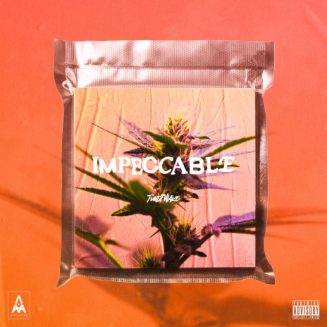 Impeccable cover art
