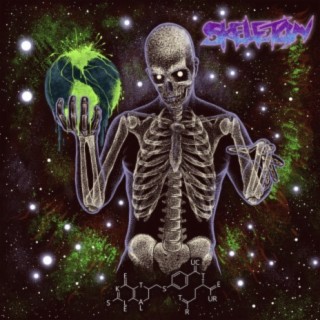 Skeletal Structure