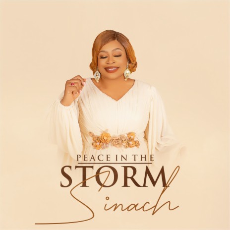 Peace in the Storm ft. Charlse Arinze Cyude cover art