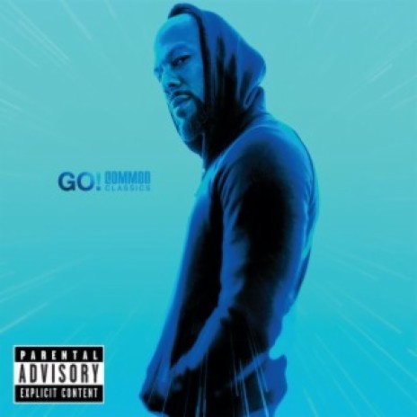 Love Of My Life (An Ode To Hip Hop) (Longer Album Version) ft. Common cover art