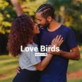 Love Birds