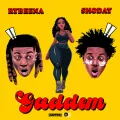 Gaddem ft. Shoday