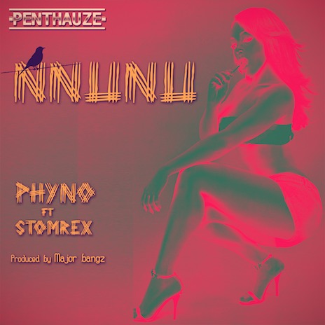 Nnunu ft. Stormrex