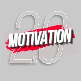 Motivation 2.0