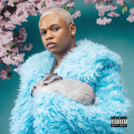 Nobody cover art