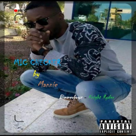 Mic Checker (feat. Bimmer Boyz) cover art