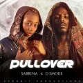 Pullover ft. D Smoke