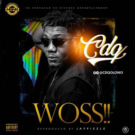 Woss!! cover art