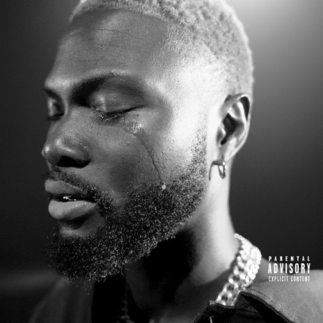 THE WAY YOU LOVE YOU cover art
